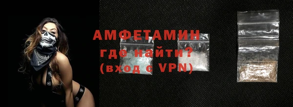 стаф Алзамай