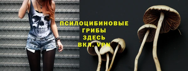 первитин Алексин