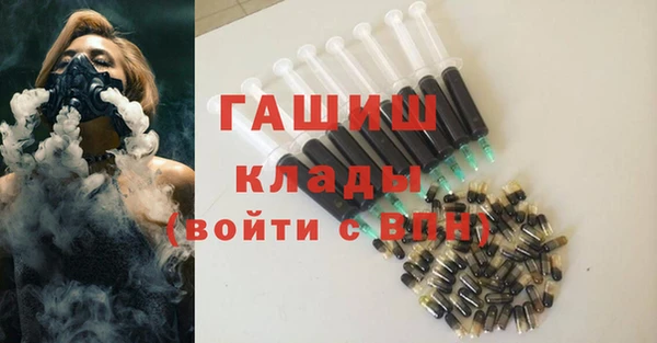 стаф Алзамай