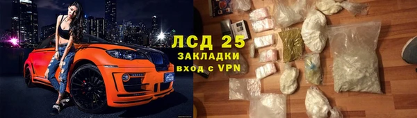 стаф Алзамай