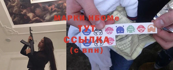 стаф Алзамай