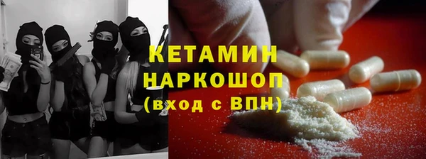 стаф Алзамай