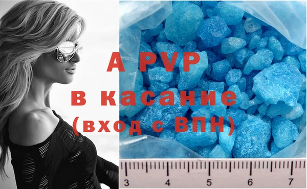 гидра Алексеевка