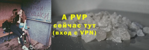 гидра Алексеевка