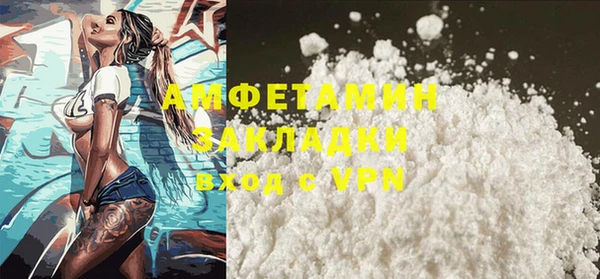 стаф Алзамай