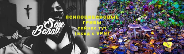 первитин Алексин
